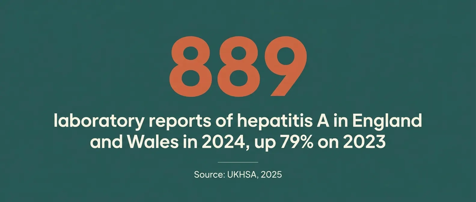 889 laboratory reports of hepatitis A in England and Wales in 2024, up 79% on 2023, according to UKHSA.
