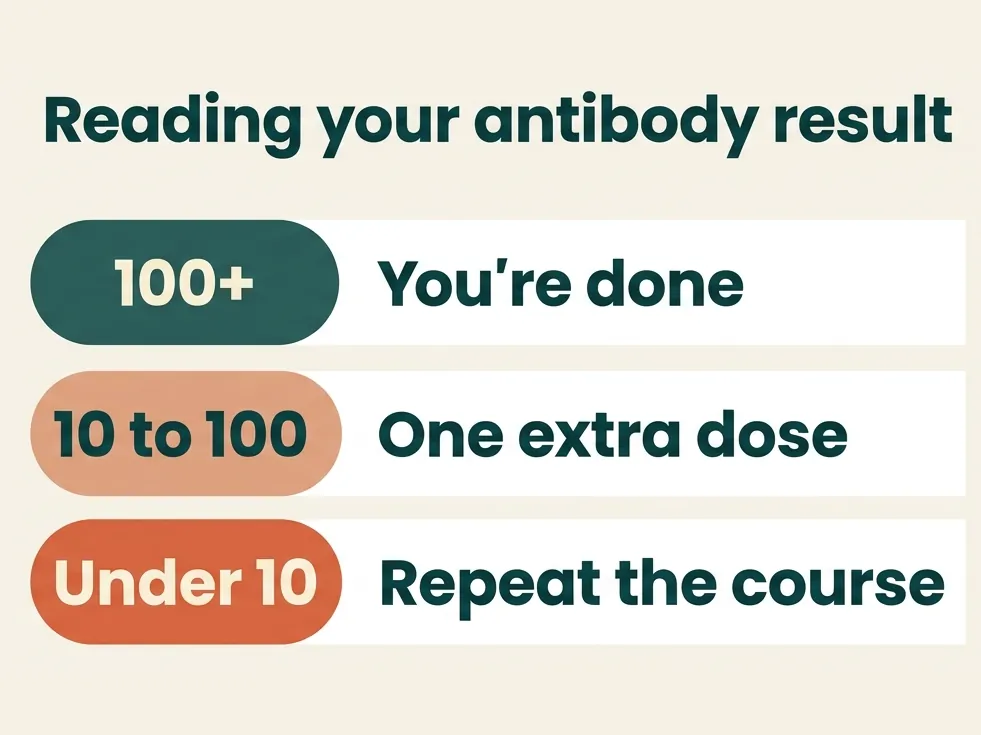 Reading your hepatitis B antibody result: 100 or more, you're done. 10 to 100, one extra dose. Under 10, we check for past infection and repeat the course, then test again.