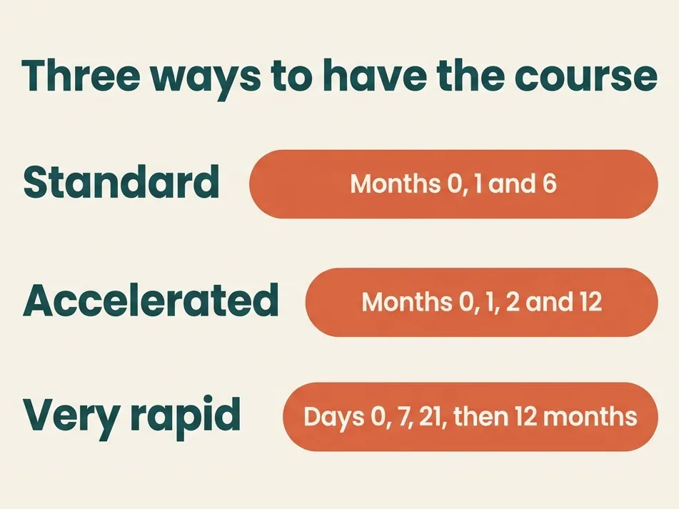 Three ways to have the hepatitis B course: standard at months 0, 1 and 6; accelerated at months 0, 1, 2 and 12; very rapid on days 0, 7 and 21, then at 12 months.