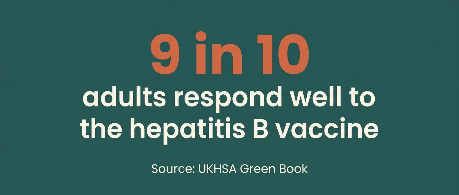 9 in 10 adults respond well to the hepatitis B vaccine, according to the UKHSA Green Book.