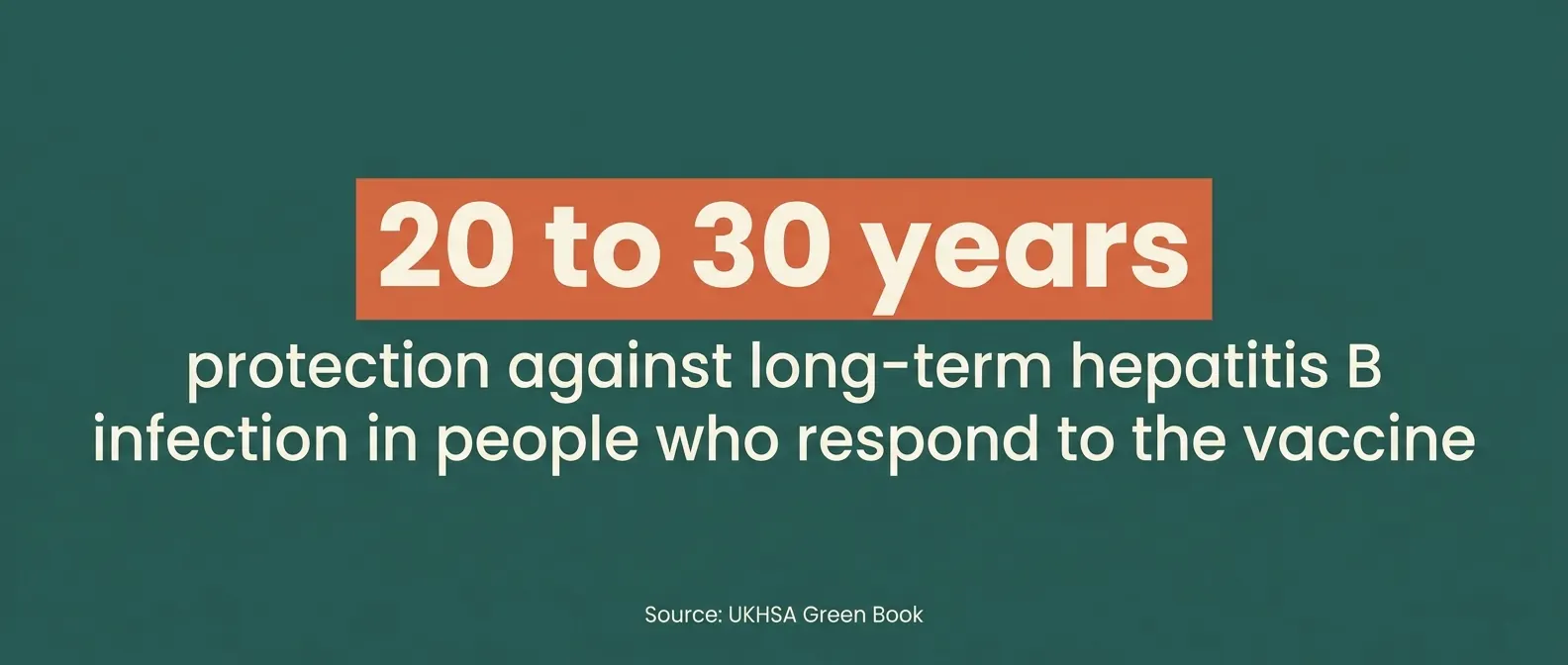 20 to 30 years: protection against long-term hepatitis B infection in people who respond to the vaccine, according to the UKHSA Green Book.