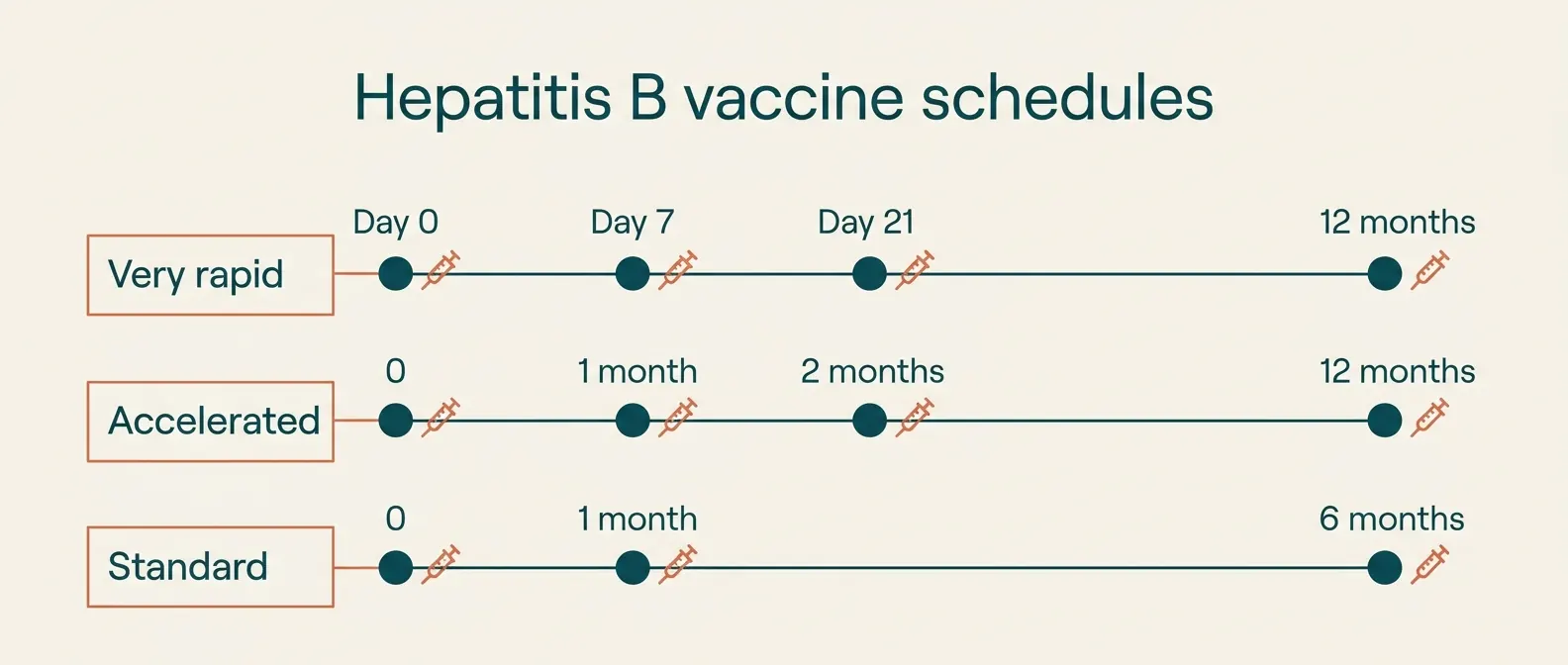 Hepatitis B vaccine schedules: very rapid on day 0, day 7, day 21 and at 12 months; accelerated at 0, 1, 2 and 12 months; standard at 0, 1 and 6 months.