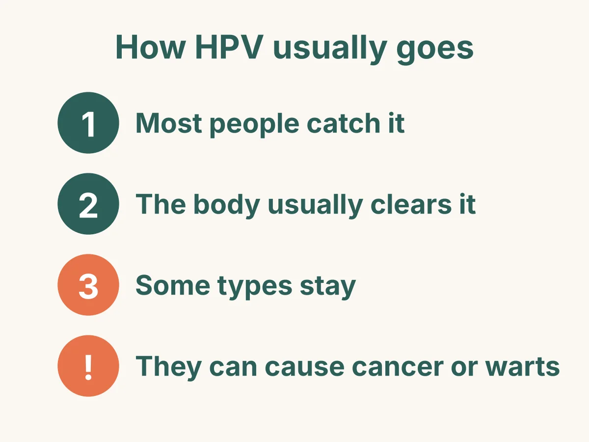 How HPV usually goes: most people catch it; the body usually clears it; some types stay; they can cause cancer or genital warts.