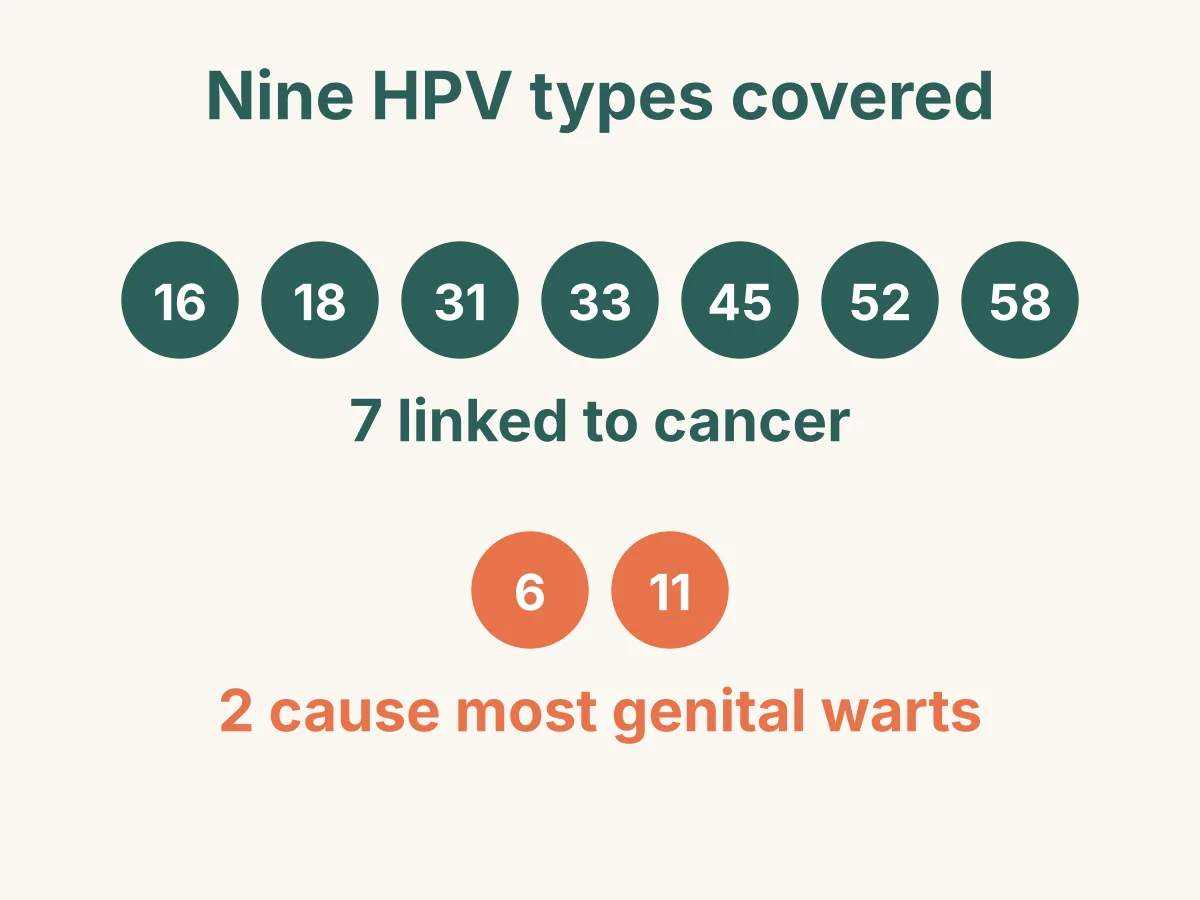 The vaccine covers nine HPV types: seven linked to cancer (16, 18, 31, 33, 45, 52 and 58) and two that cause most genital warts (6 and 11).
