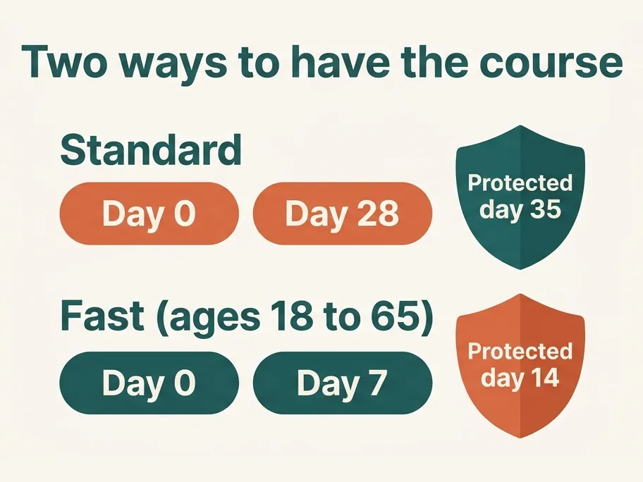Two ways to have the Japanese encephalitis course: standard, with doses on day 0 and day 28 and protection from day 35; or fast, for ages 18 to 65, with doses on day 0 and day 7 and protection from day 14.