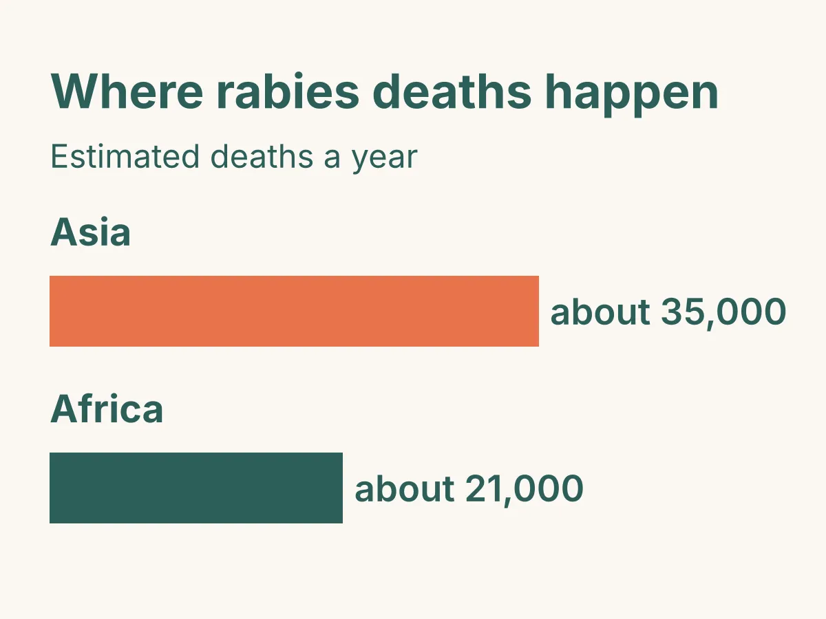Bar chart of estimated rabies deaths a year: about 35,000 in Asia and about 21,000 in Africa. Source: UKHSA Green Book, chapter 27.
