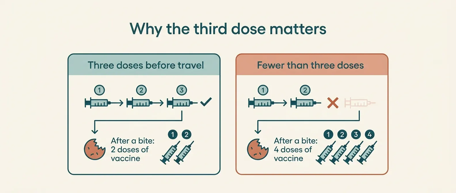 Why the third dose matters: with three doses before travel, 2 doses of vaccine after a bite; with fewer than three doses, 4 doses of vaccine after a bite.