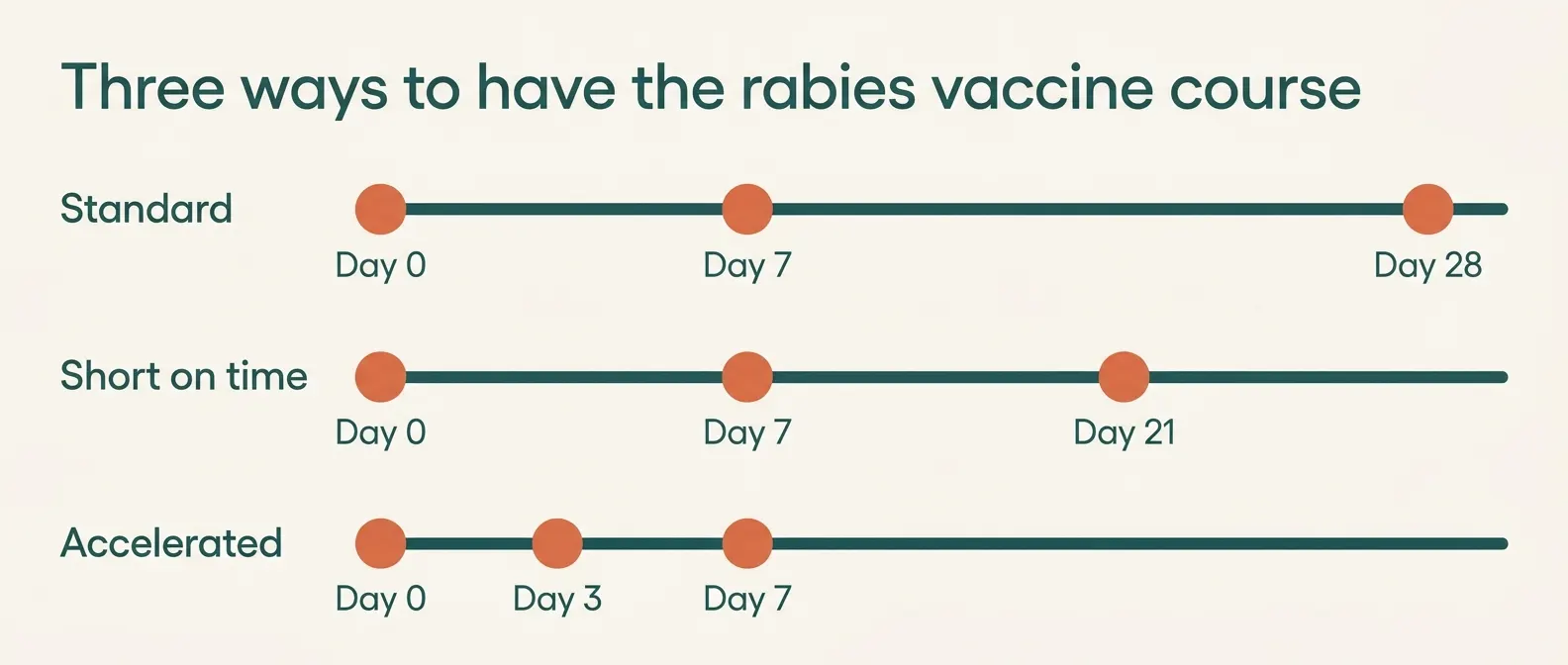 Three ways to have the rabies vaccine course: standard on days 0, 7 and 28; short on time on days 0, 7 and 21; accelerated on days 0, 3 and 7.