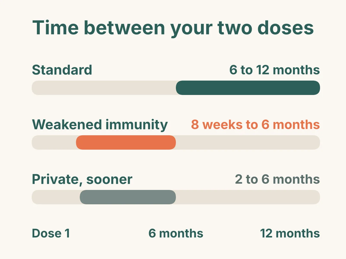 Time between the two shingles doses: 6 to 12 months as standard, 8 weeks to 6 months with a weakened immune system, or 2 to 6 months privately if you want it sooner.
