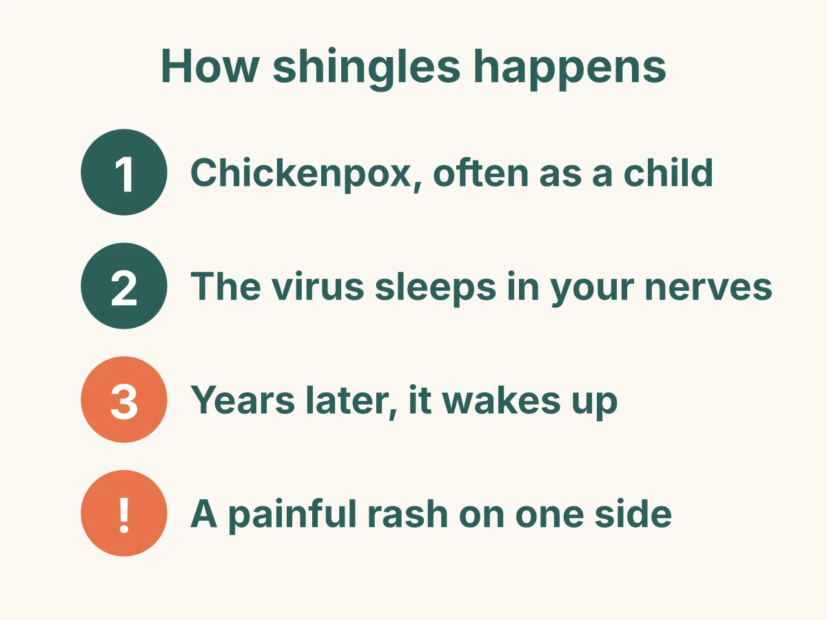 How shingles happens: chickenpox, often as a child; the virus sleeps in your nerves; years later it wakes up; a painful rash on one side of the body.