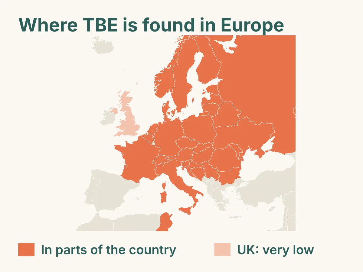 Map of Europe showing countries where tick-borne encephalitis is found in parts of the country, across central, northern and eastern Europe from France and Scandinavia to Russia, with a very low risk in the UK. It's also found in parts of Asia.