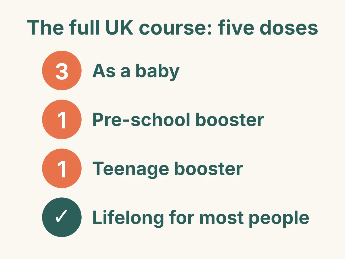 The full UK course of a tetanus-containing vaccine is five doses: three as a baby, a pre-school booster and a teenage booster, which gives lifelong protection for most people.